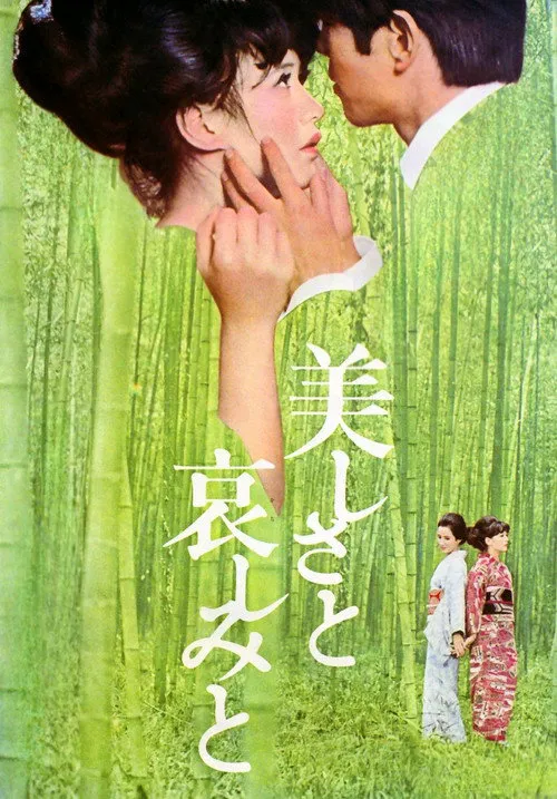 美丽与哀伤海报