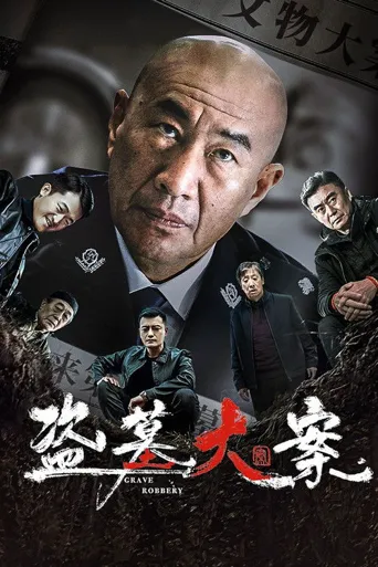 盗墓大案海报