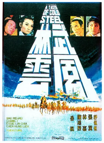 武林风云海报
