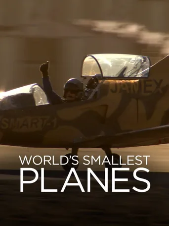 World's Smallest Planes海报