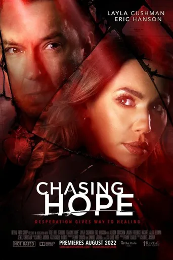 Chasing Hope海报