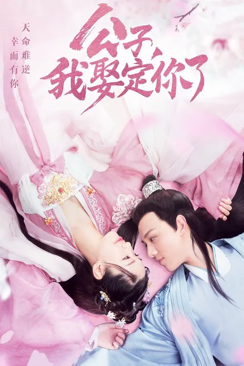 公子，我娶定你了海报