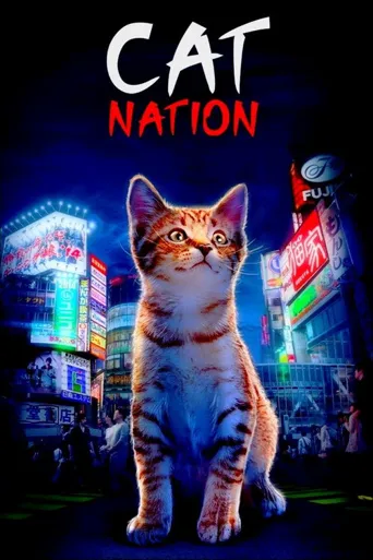 猫咪国度海报