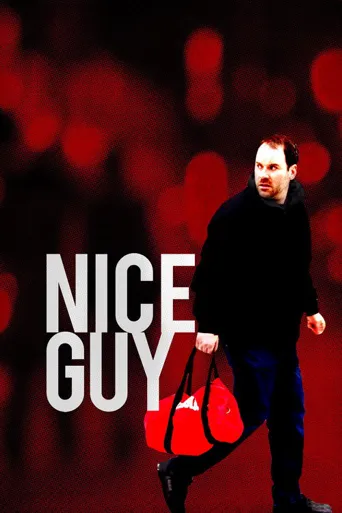 Nice Guy海报
