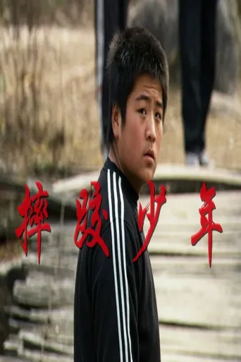 摔跤少年海报