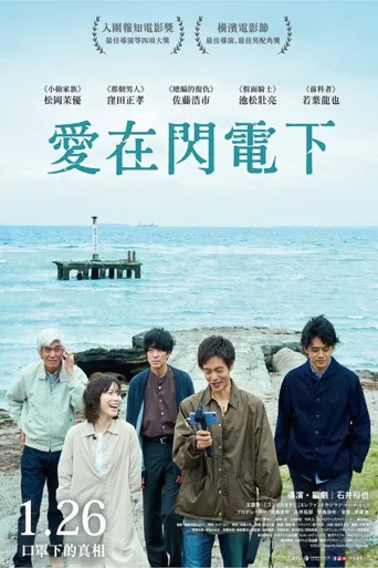 爱之闪电海报