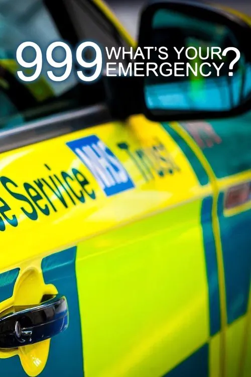 999: What's Your Emergency? 第 4 季海报