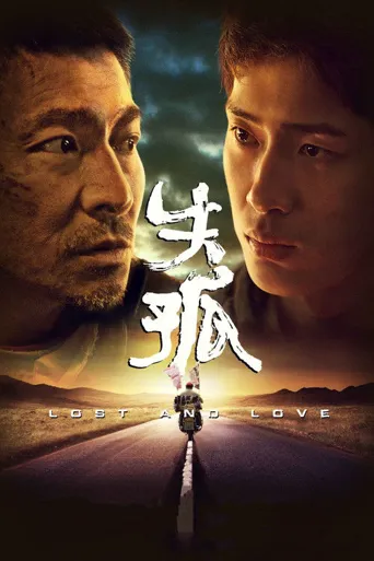 失孤海报