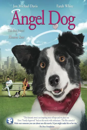 Angel Dog海报