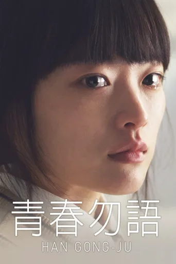 韩公主海报