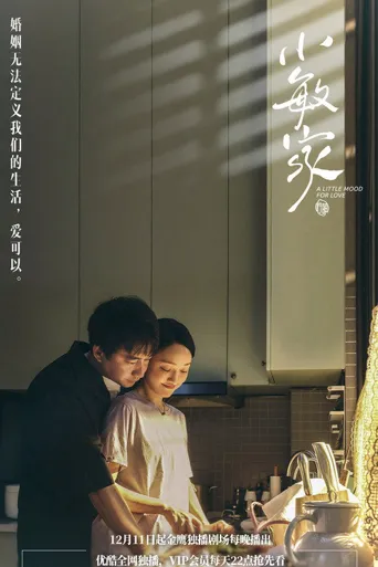 小敏家海报