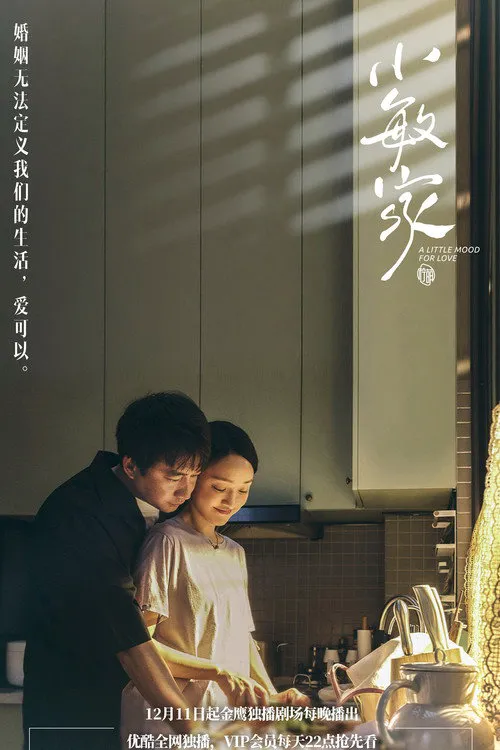 小敏家海报