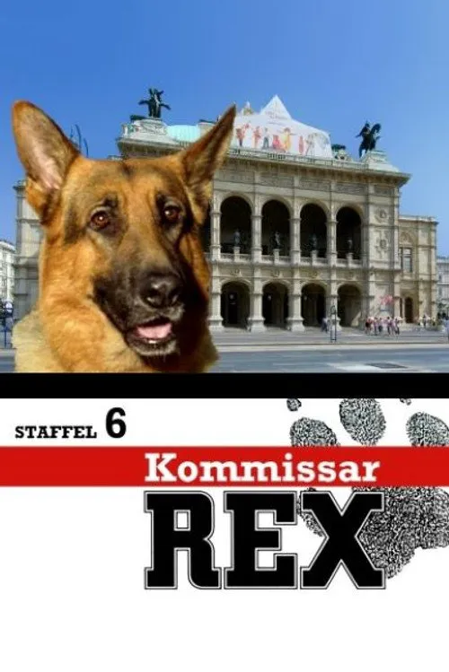Kommissar Rex 第 6 季海报