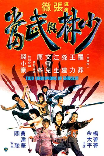 少林与武当海报