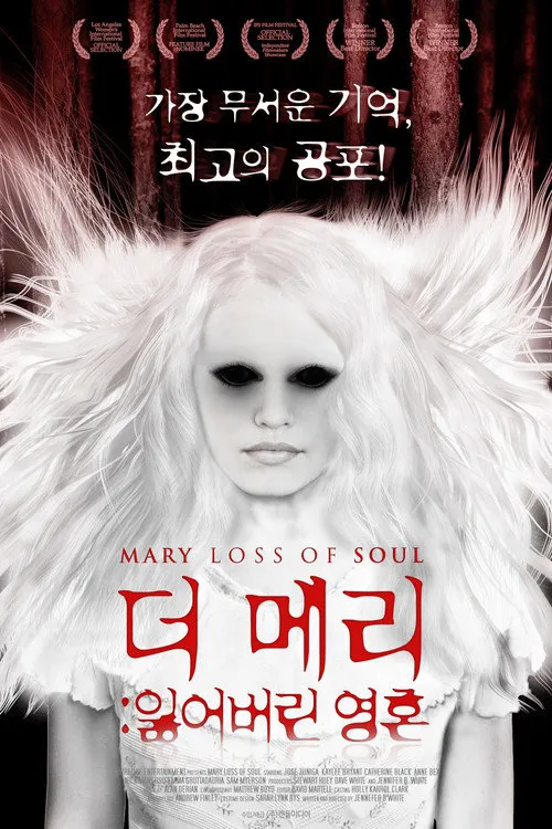 Mary Loss of Soul海报