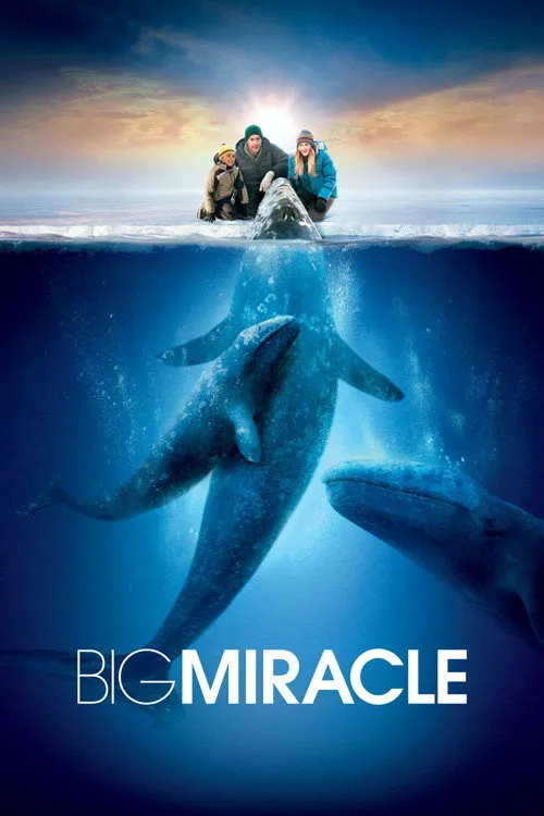 鲸奇海报