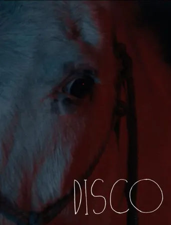 Disco海报