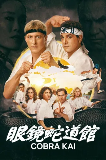 眼镜蛇 第 6 季海报