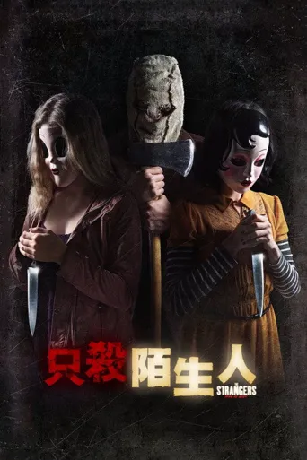 只杀陌生人2：狩猎之夜海报