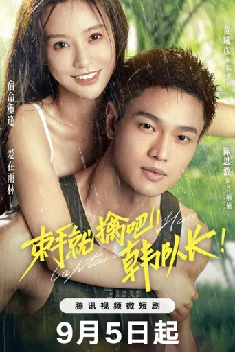 束手就擒吧！韩队长！海报