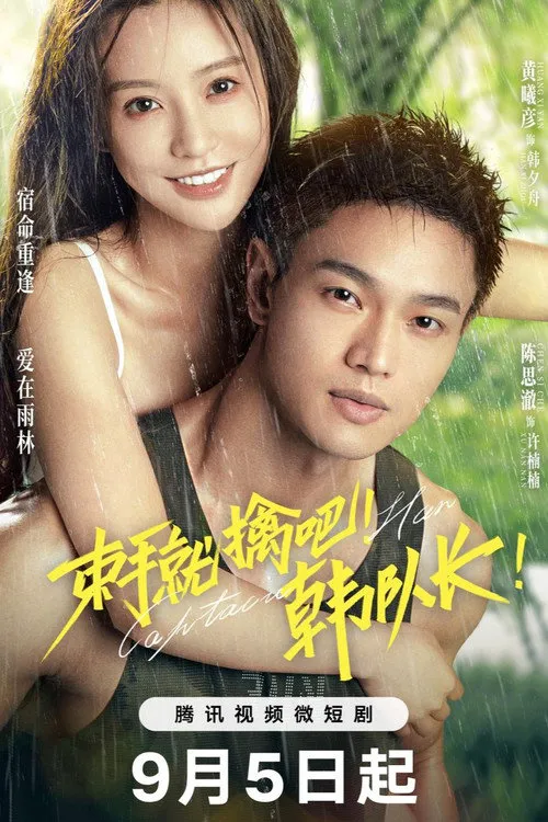 束手就擒吧!韩队长!海报