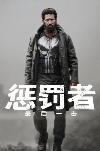 惩罚者：最后一击海报