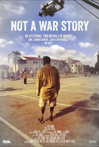 Not a War Story海报