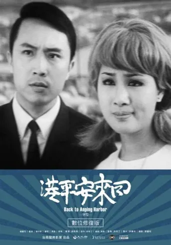 回来安平港海报