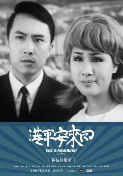 回来安平港海报