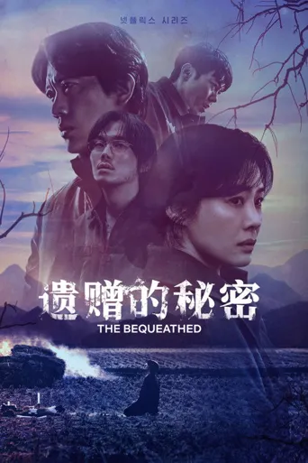 遗赠的秘密海报