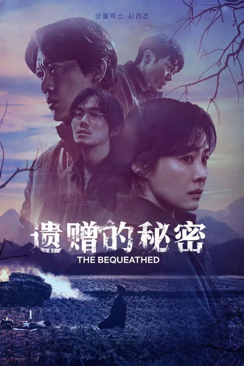 遗赠的秘密海报