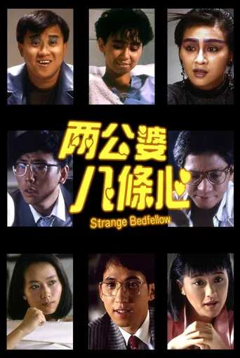 两公婆八条心海报