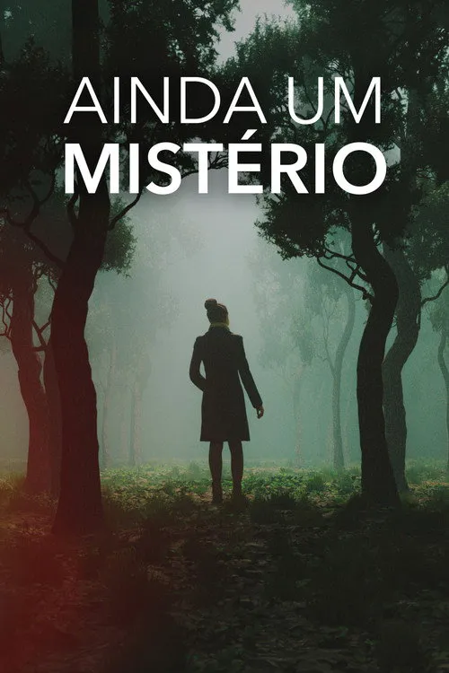 Still a Mystery 第 2 季海报