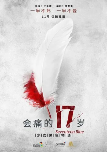 会痛的17岁海报