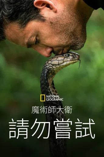 大卫·布雷恩：请勿尝试海报