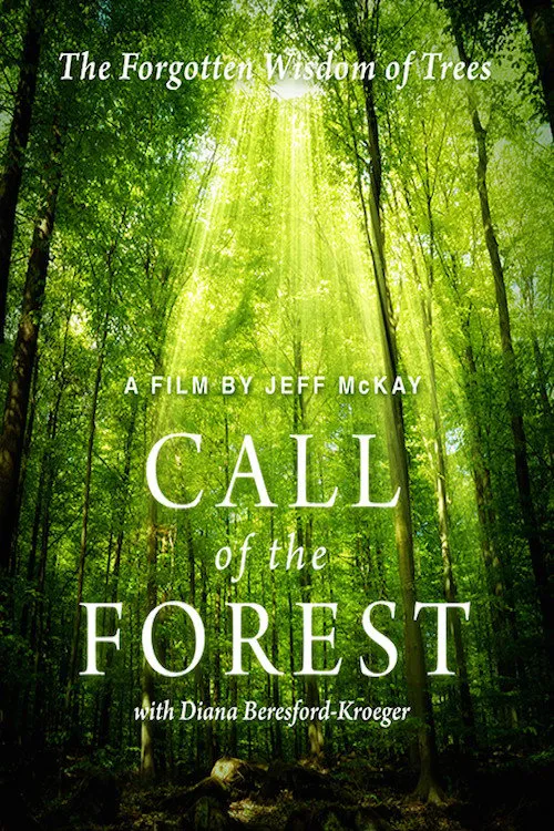 Call of the Forest: The Forgotten Wisdom of Trees海报