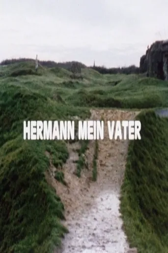Hermann mein Vater海报
