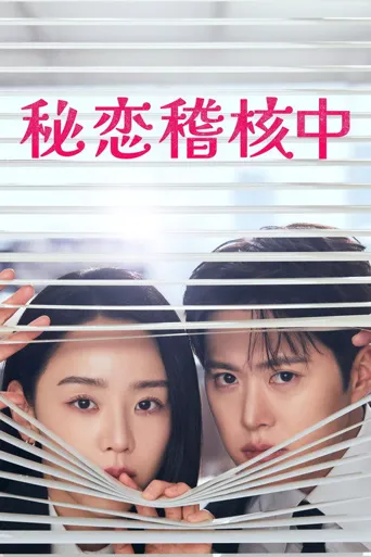 隐秘的监察海报