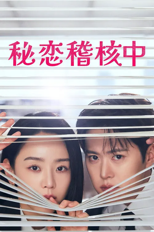 隐秘的监察海报