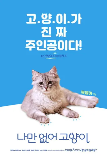 只有我没有猫海报