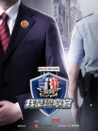 守护解放西番外：我是检察官海报