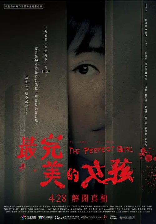 最完美的女孩海报