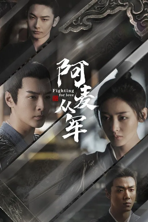 阿麦从军海报