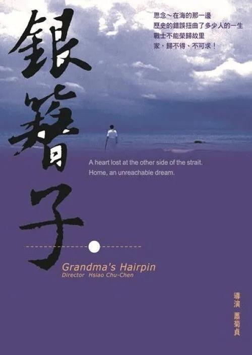 银簪子海报