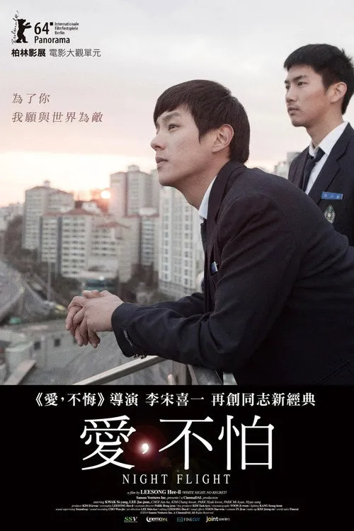 夜间飞行海报