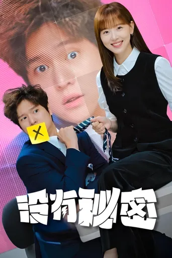 没有秘密海报