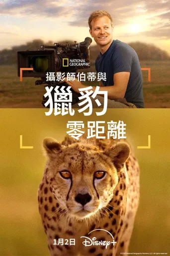 摄影师伯蒂与猎豹零距离海报