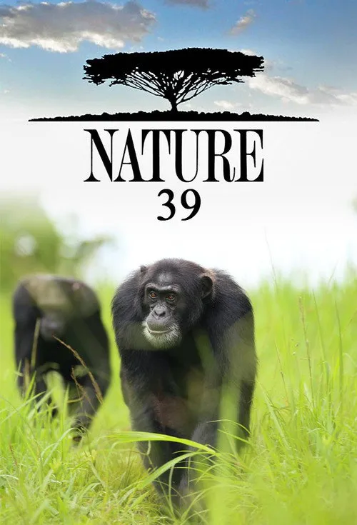 自然 第 39 季海报