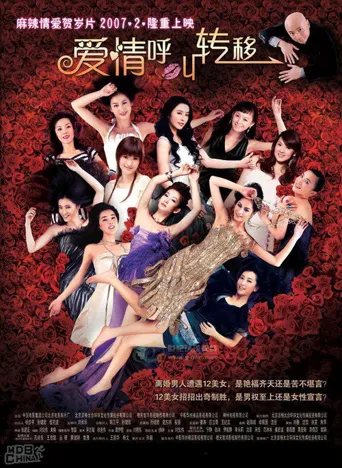 爱情呼叫转移海报