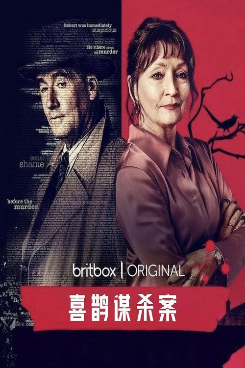 喜鹊谋杀案海报